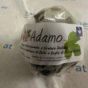 Adamo