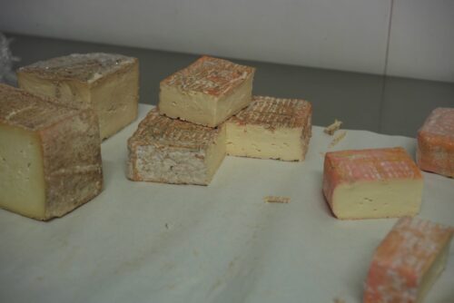 Taleggio DOP