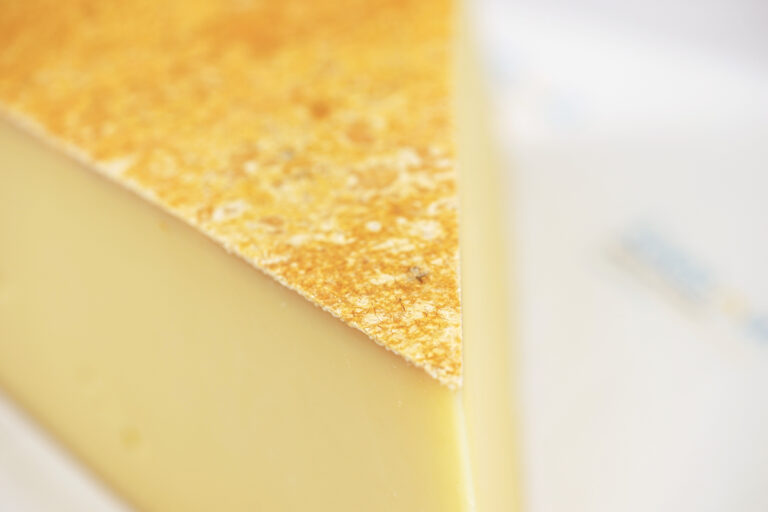 Halber Laib Vorarlberger Raclette (rund)