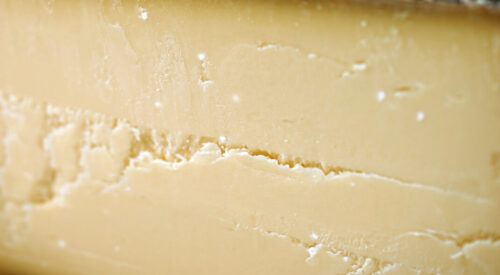 Gereifter, kristalliner, cremiger Gruyere in Perfektion.