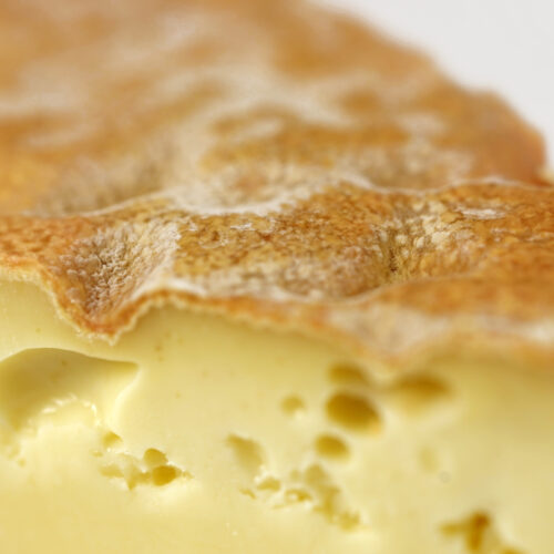Vacherin fribourgeois (Alpage)