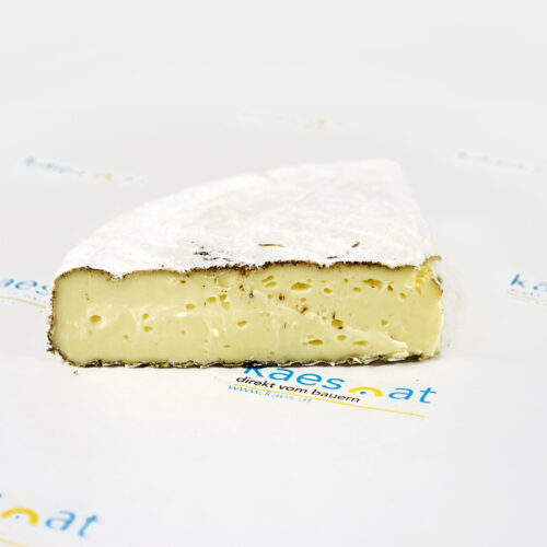 Dzorette