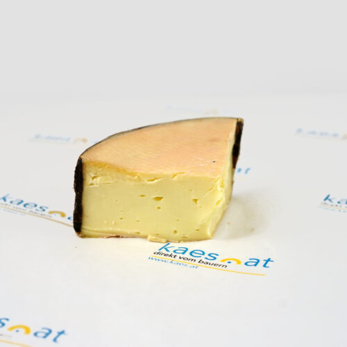 Bergfichte groß