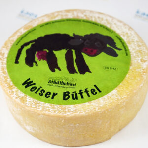 Weiser Büffel