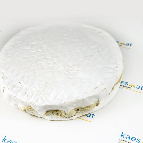 Trüffelbrie
