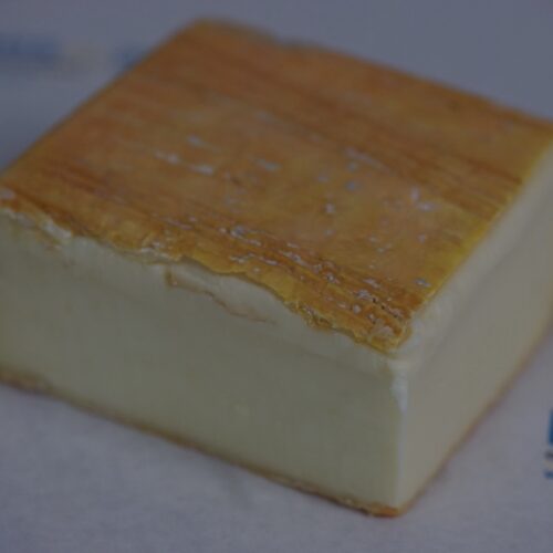 Taleggio DOP