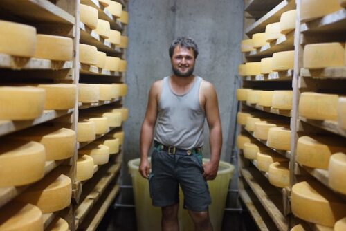 Hochalpkäse 2023