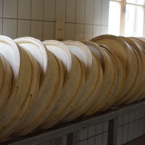 GepsenAlpkäse mind. 24 Monate gereift