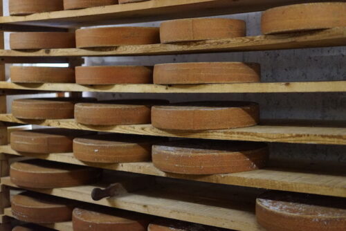 GepsenAlpkäse mind. 24 Monate gereift